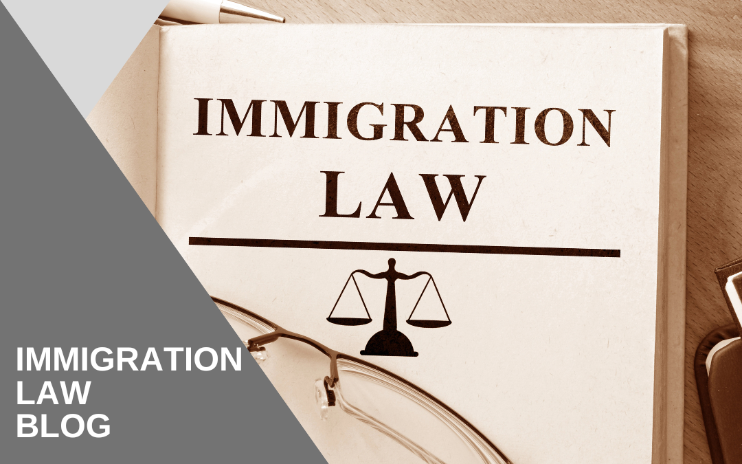 Immigration Law 
